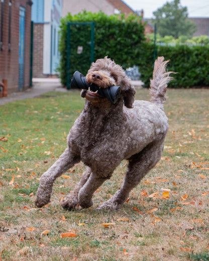 Ancol Tough Treat Dispenser Dog Toy