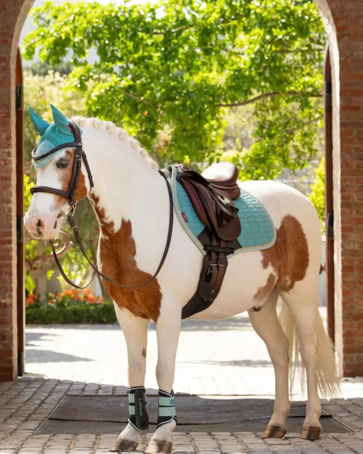 LeMieux Mini Brushing Boots Aqua