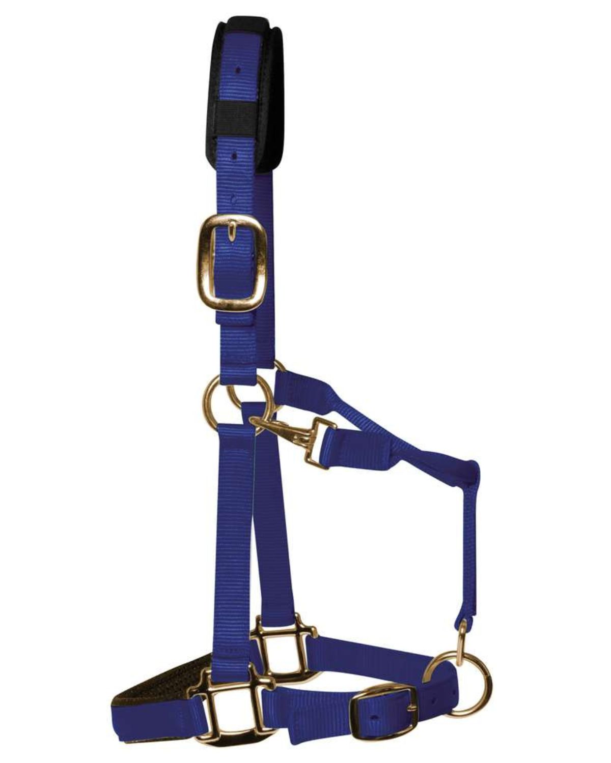 KM Elite Padded Headcollar Royal Blue