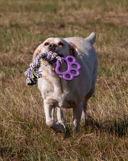 Ancol Playtime Ropey Paw Dog Toy