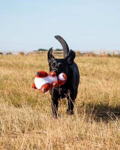 Ancol Heritage Samantha Squirrel Dog Toy