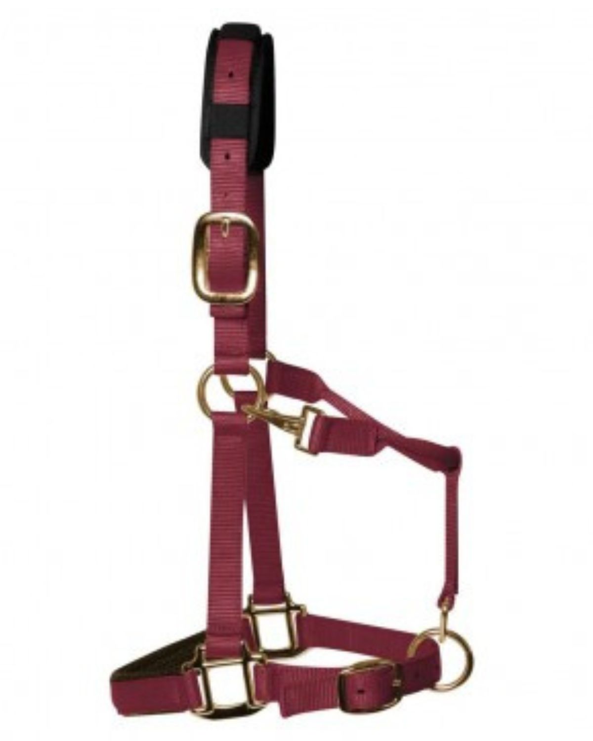 KM Elite Padded Headcollar Burgundy