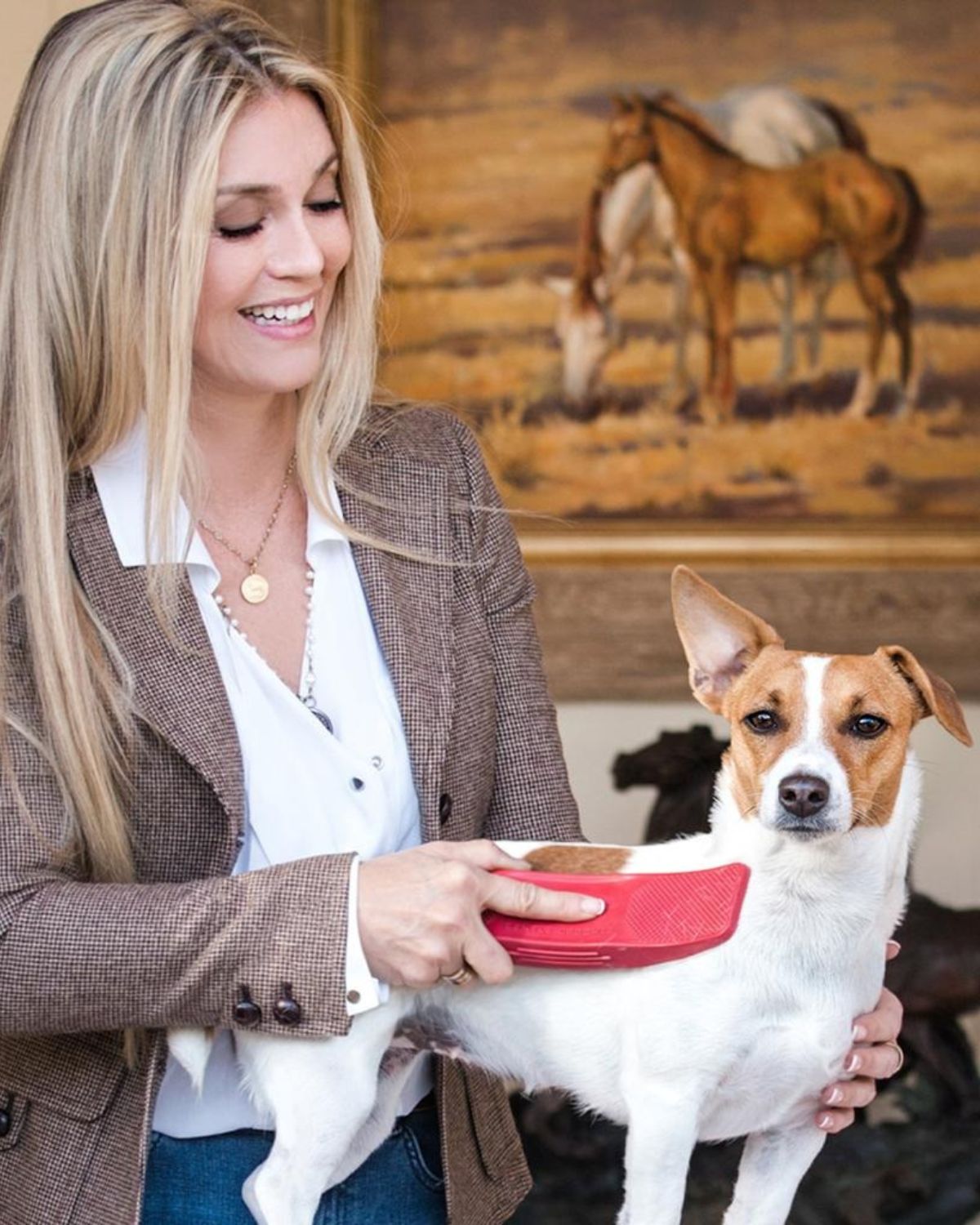 Woman grooming dog with StripHair Gentle Groomer. Dog grooming at home. Pet care. Dog enjoying grooming.