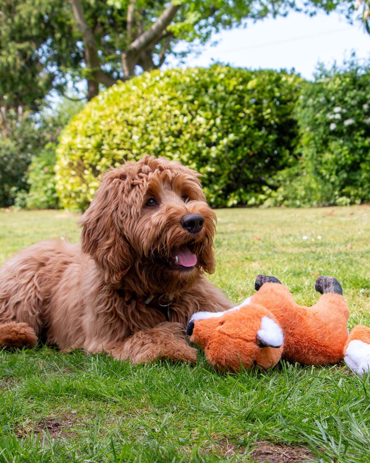 Ancol Heritage Felicity Fox Dog Toy