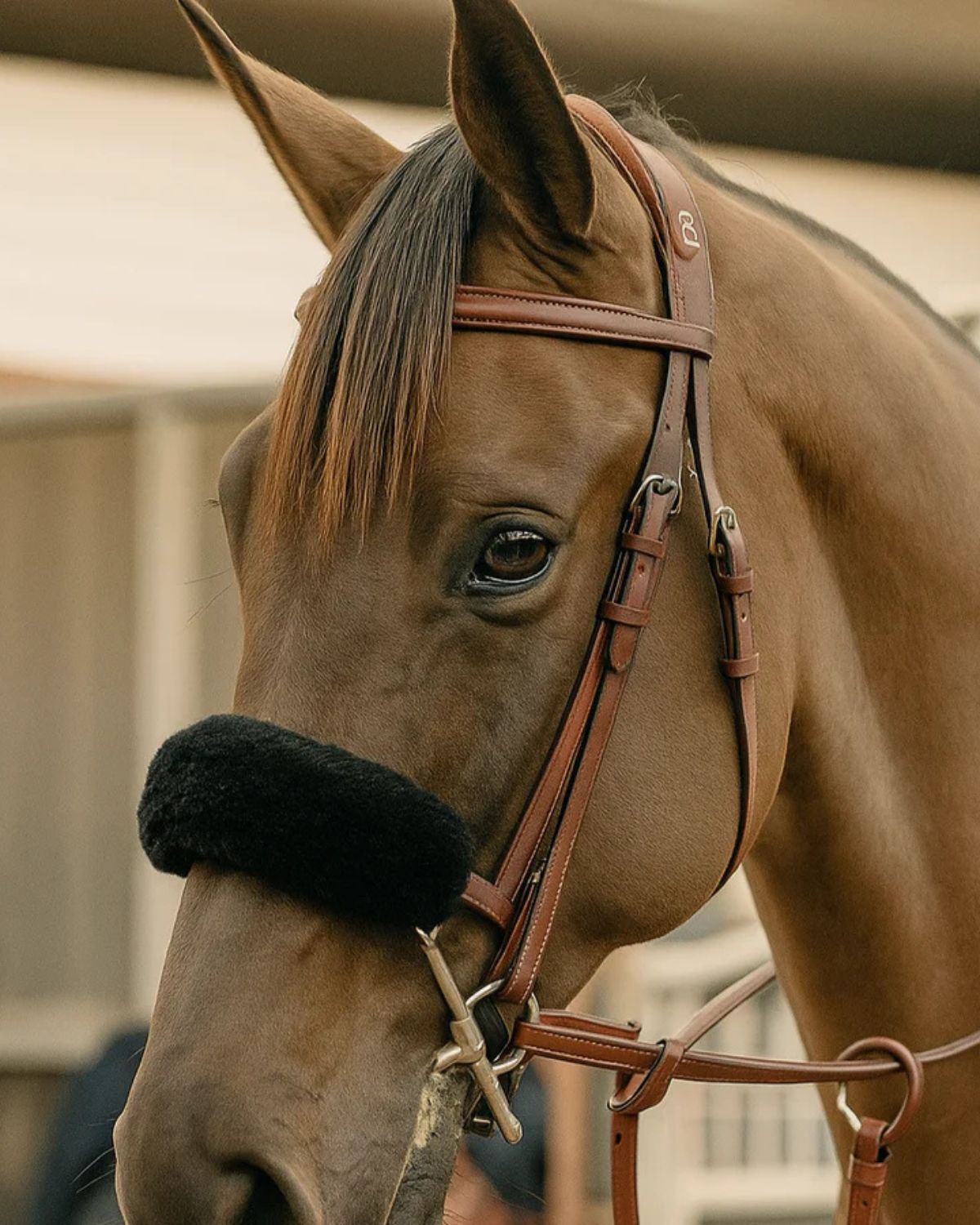 KM Elite Teddy Soft Noseband Cover Black