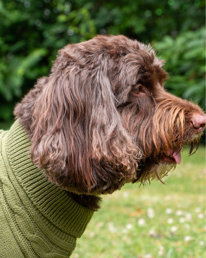 Ancol Cable Knit Jumper Green Dog Coat