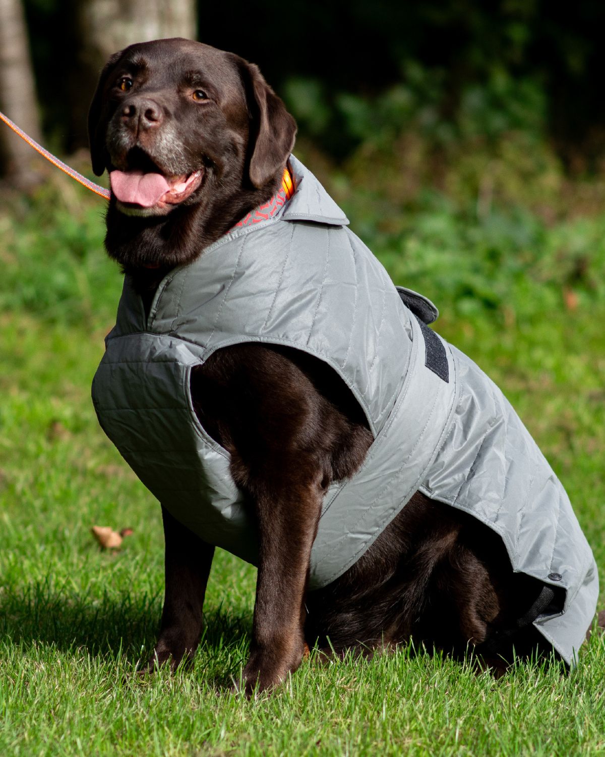 Ancol Ultimate Reflective Dog Coat
