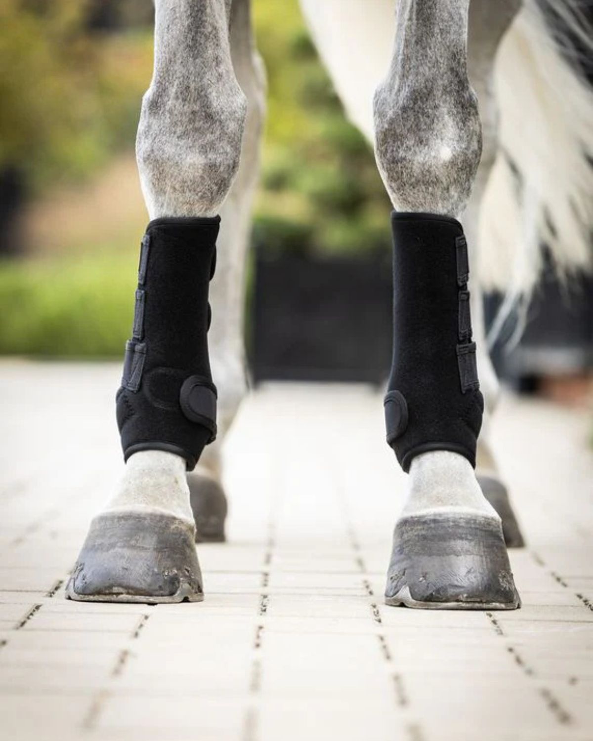 Woof Wear Training Wrap Black