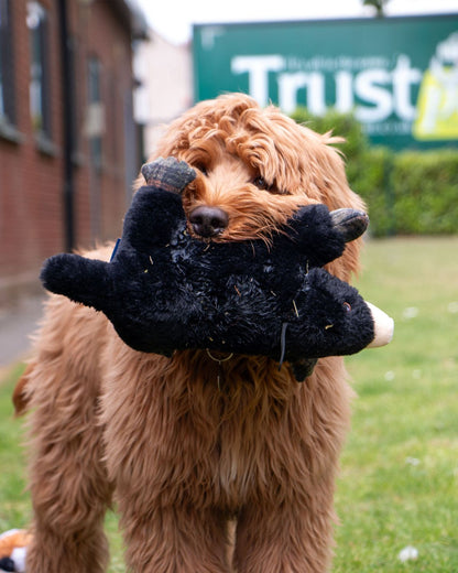 Ancol Heritage Montgomery Mole Dog Toy