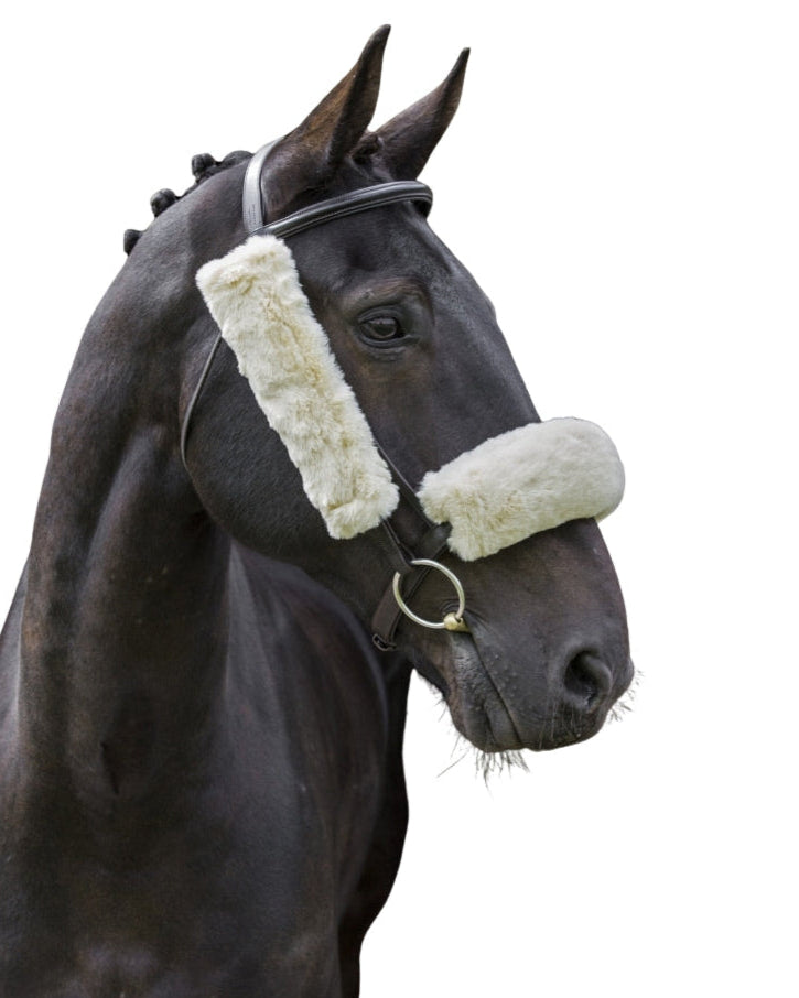 Horse wearing cream lambswool french blinkers | Equestrian training aid