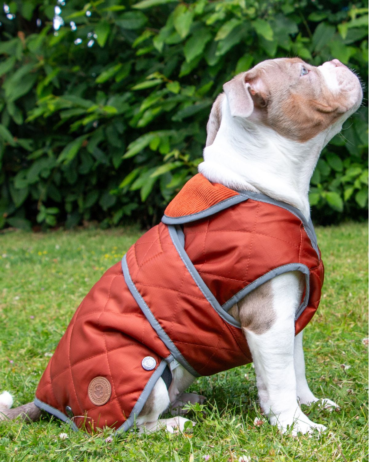 Ancol Heritage Quilted Dog Coat Terracotta