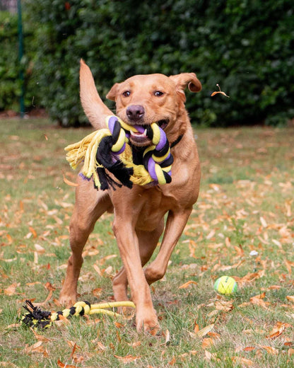 Ancol Playtime Tricoloured Super Rope Dog Toy