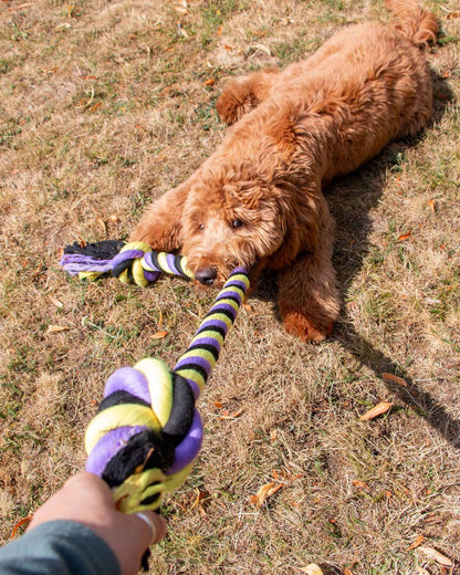Ancol Playtime Tricoloured Jumbo Rope Dog Toy