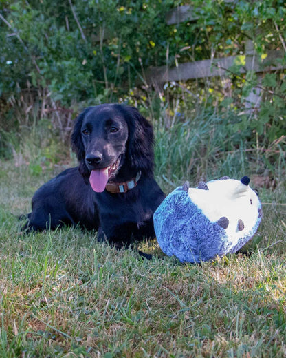 Ancol Heritage Harry Hedgehog Dog Toy