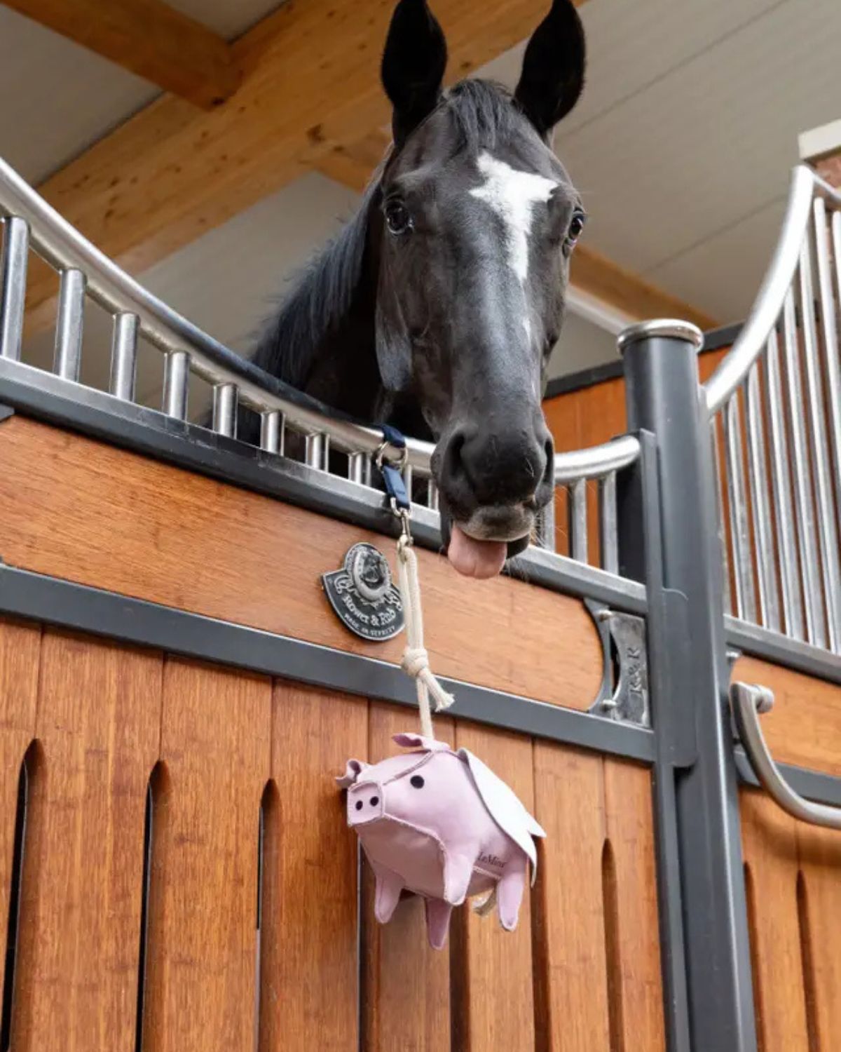 LeMieux Horse Toy Flying Pig