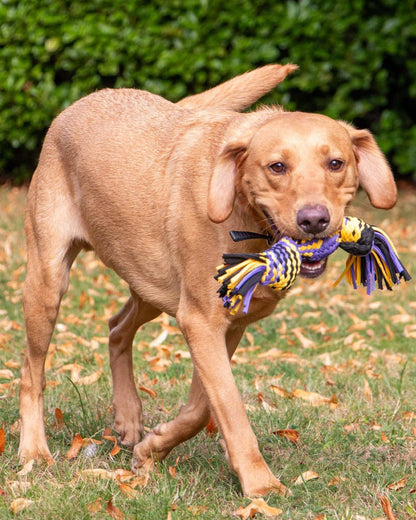 Ancol Playtime Squeak T-Shirt Rope Ball Medium Dog Toy