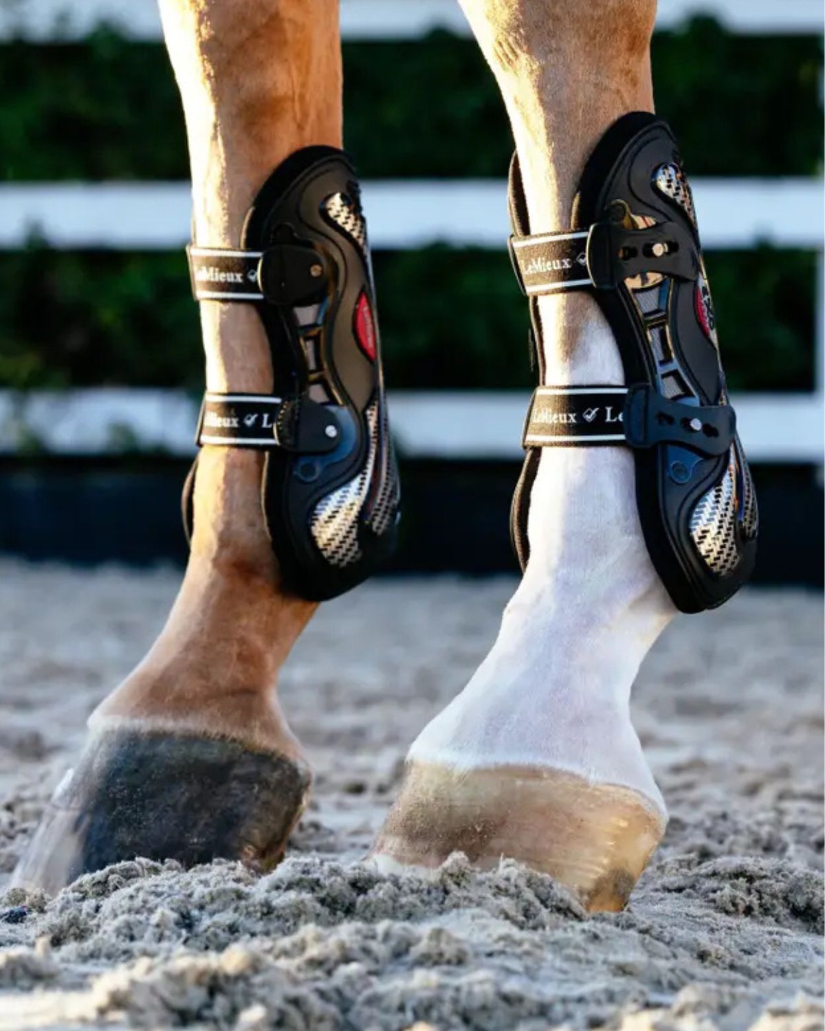 LeMieux Exo-Flex® Tendon Boot Black/Silver