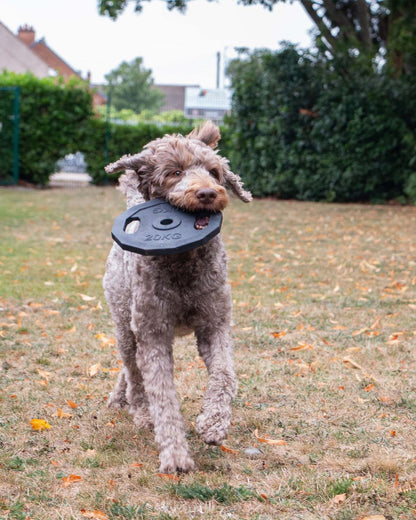 Ancol Tough Super Barbell Plate Dog Toy