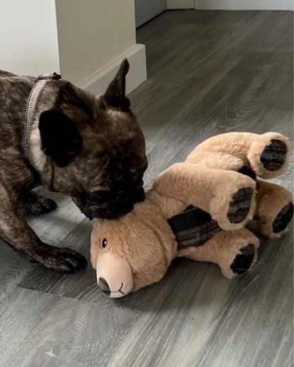 Ancol Heritage Tartan Bear Dog Toy