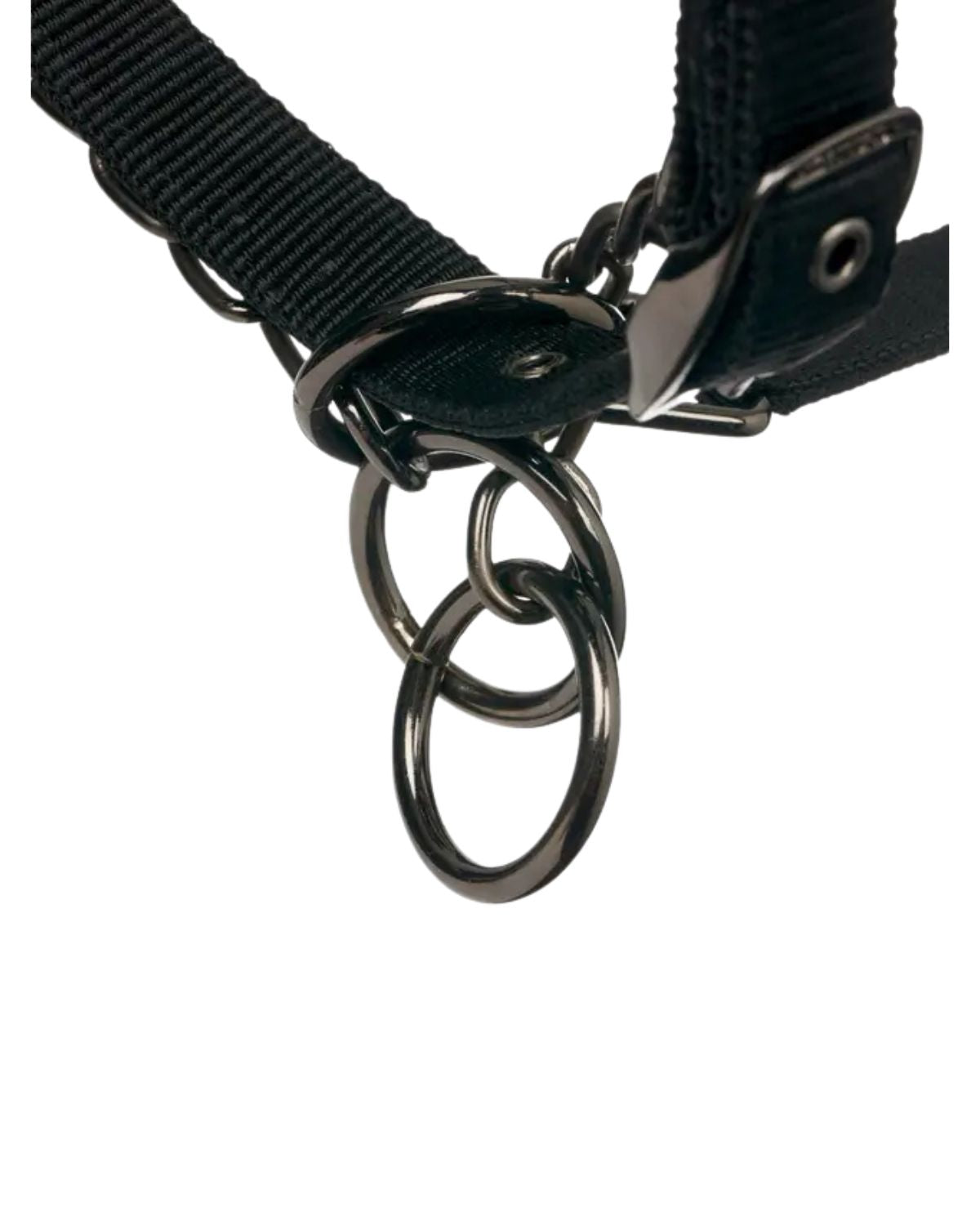 LeMieux ProSafe Headcollar Black