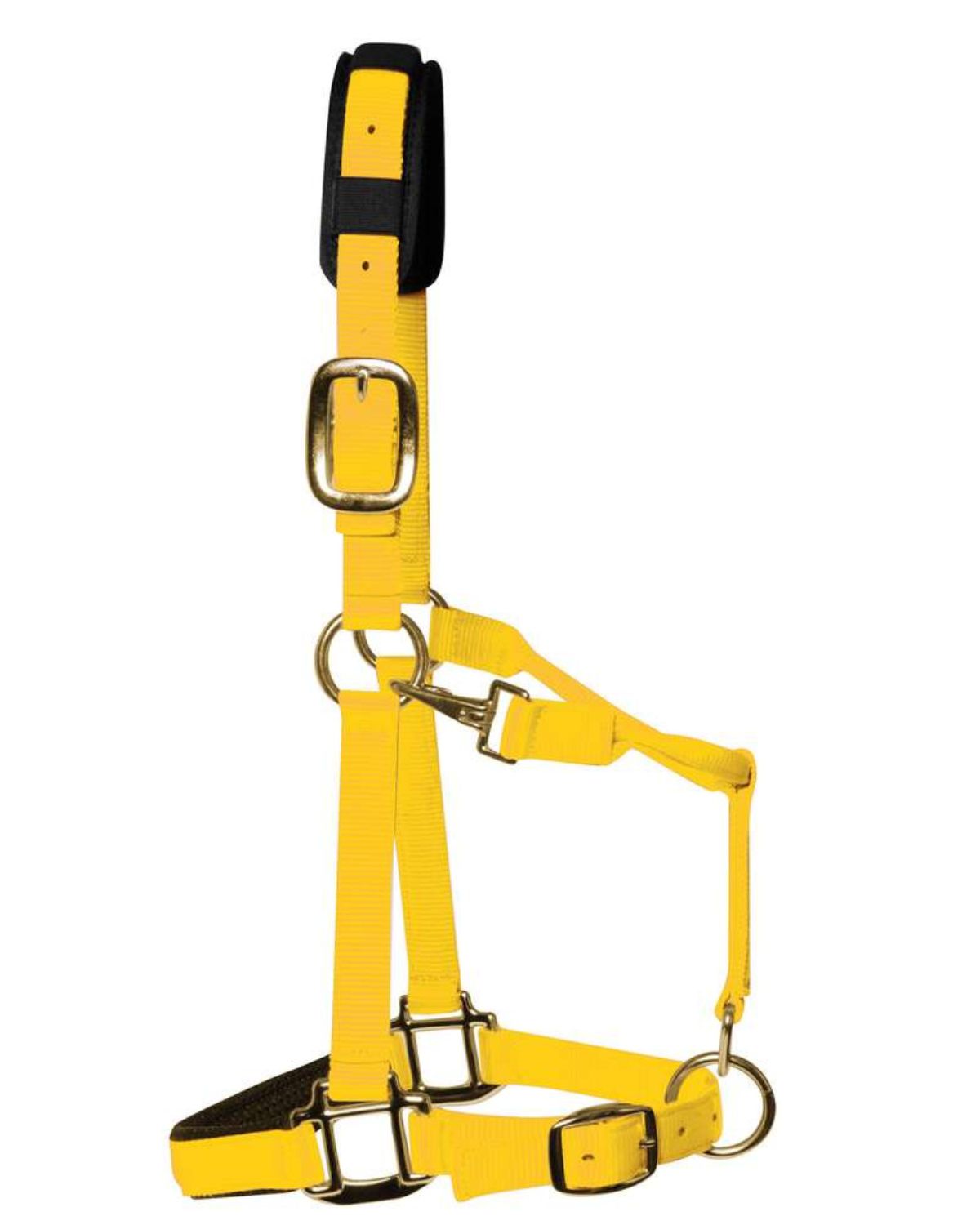 KM Elite Padded Headcollar Yellow