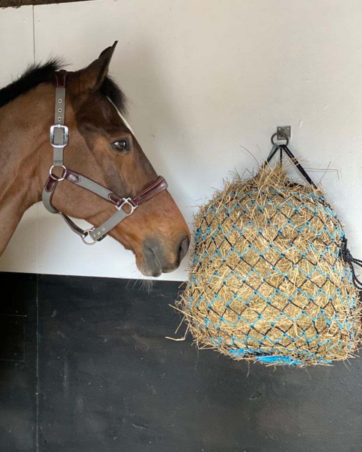 Horse Eating from KM Elite Hay Net from Equiflair: Slow Feeding & Enrichment