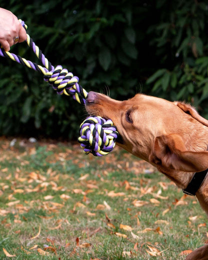 Ancol Playtime Tricoloured Jumbo Rope Ball Tug Dog Toy