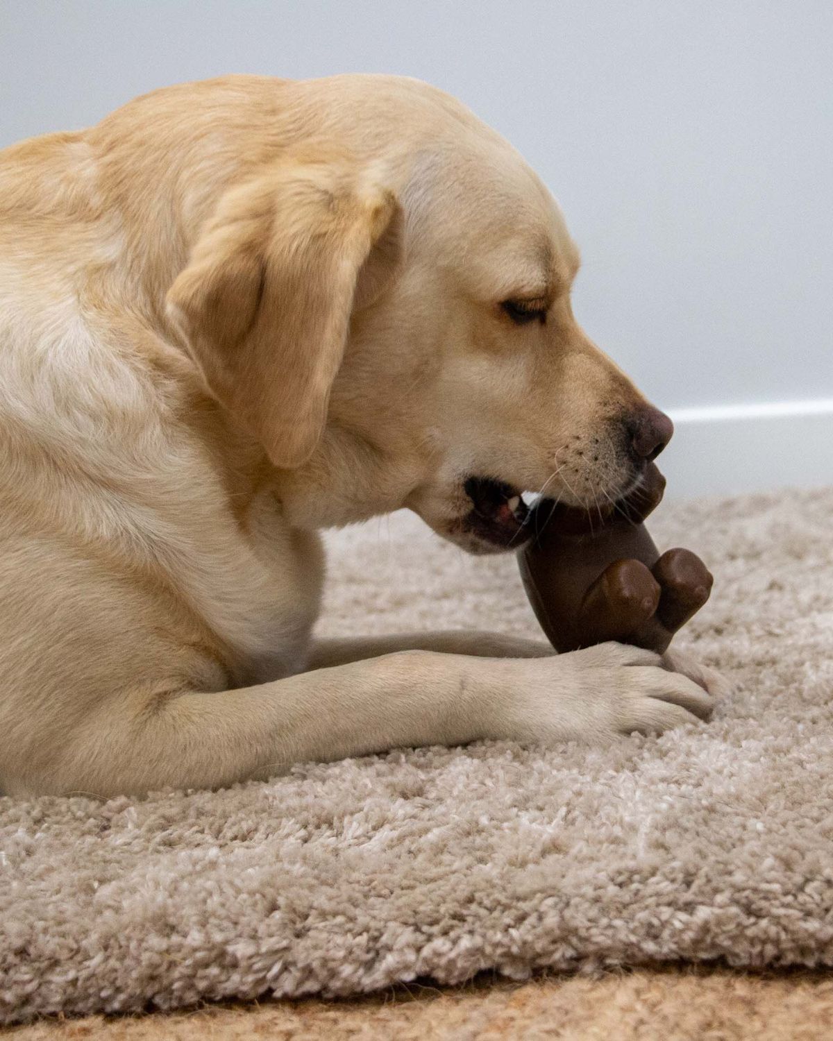 Ancol Tough Coffee Grounds Hippo Dog Toy