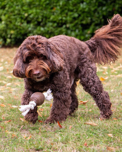 Ancol Tough Coffee Grounds Ropey Rugby Tugger Dog Toy