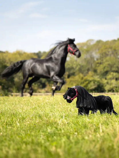 LEMIEUX TOY PONY SPIKE: Black Friesian Toy for ages 3+. Equiflair.