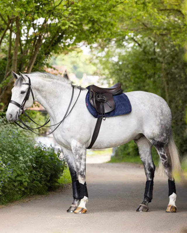 LeMieux GP Work Pad Navy: Equestrian horse saddle pad on a gray horse in an outdoor setting.