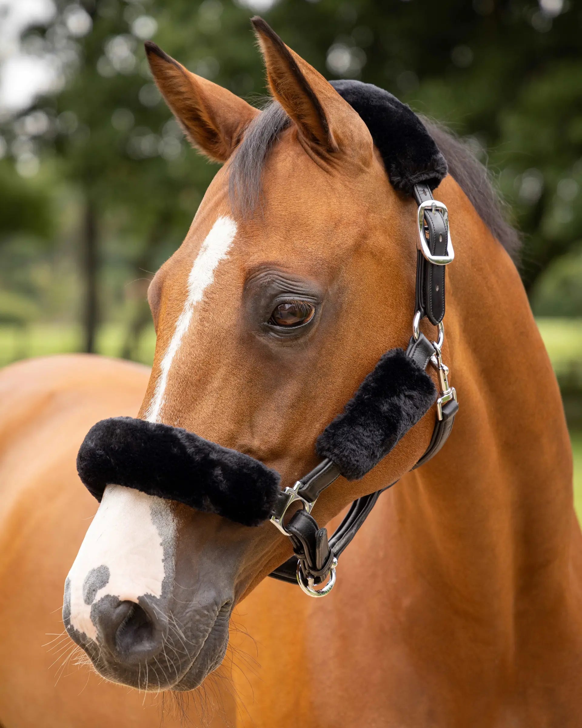 LeMieux Simuwool Headcollar Set Black