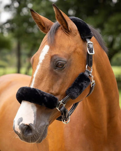 LeMieux Simuwool Headcollar Set Black
