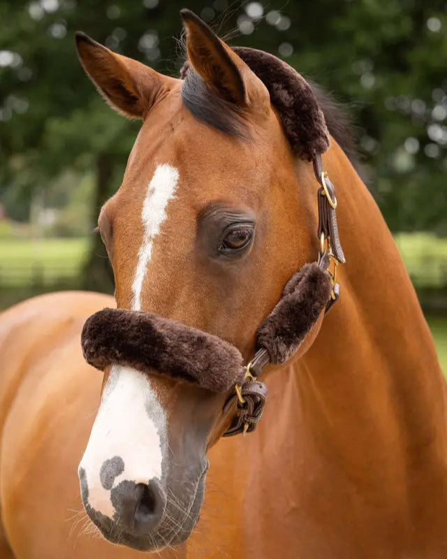LeMieux Simuwool Headcollar Set Brown