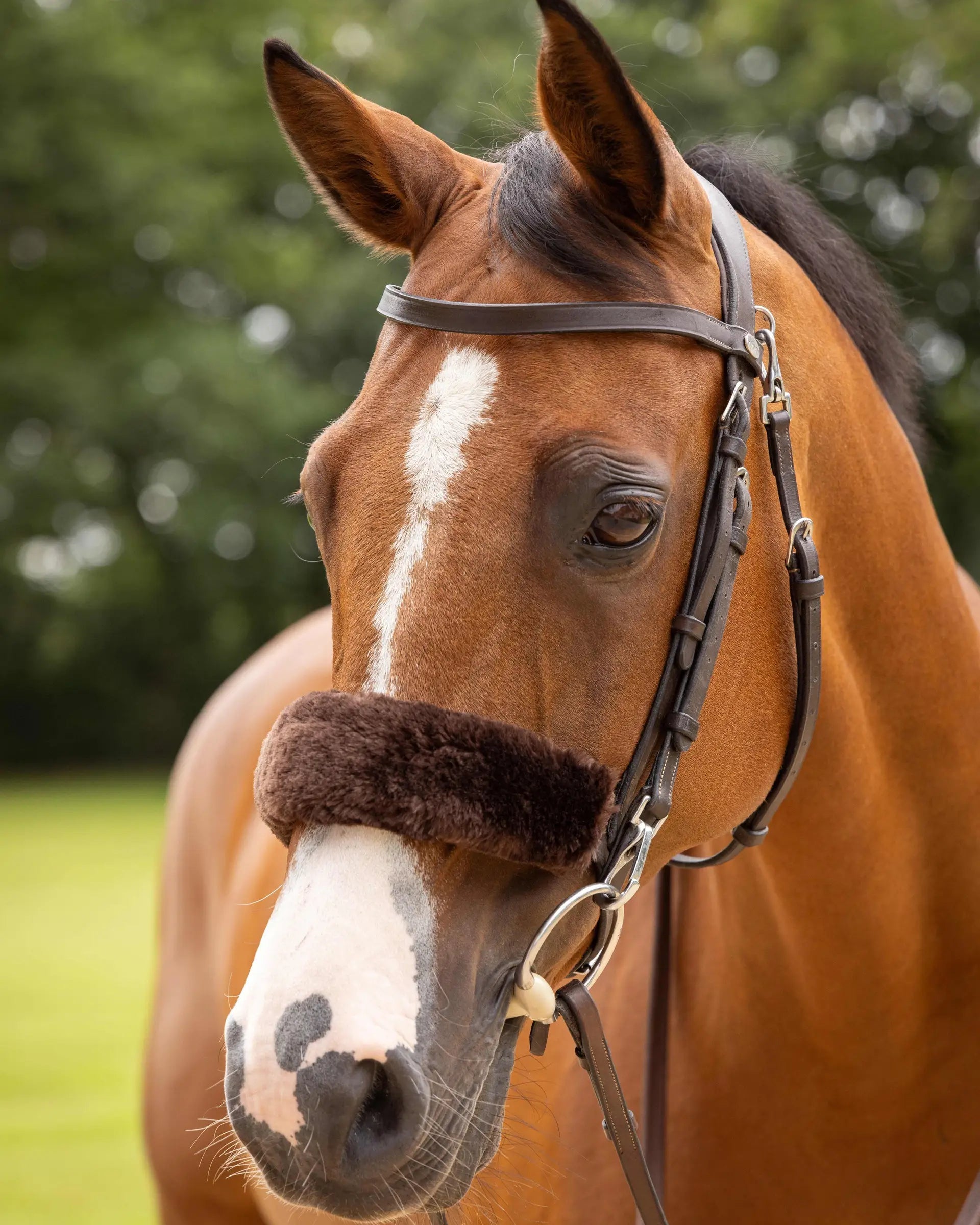 LeMieux Simuwool Noseband Cover Brown: Soft equine bridle protection, comfort for sensitive horses. #LeMieux #NosebandCover #HorseCare