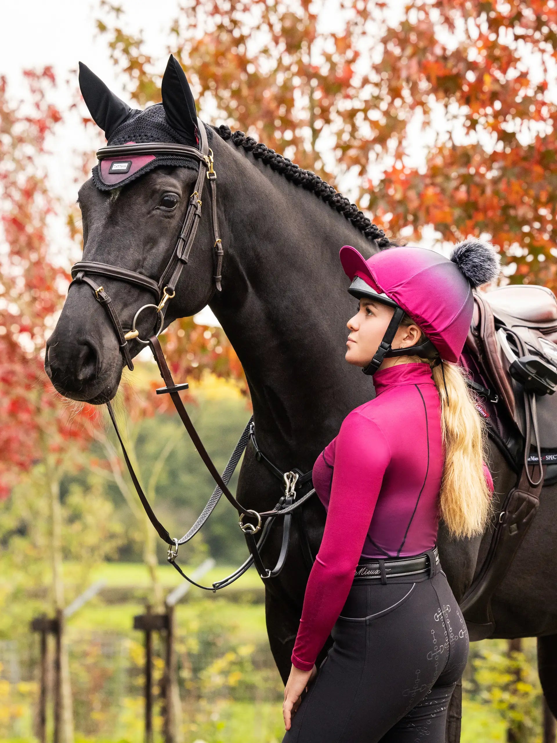 LeMieux Spectrum Mulberry Fly Hood on Black Horse | Equiflair Horse Riding Equipment