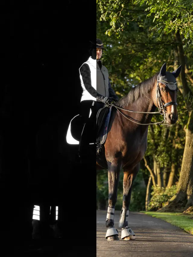 Horse & Rider Reflective Gear: LeMieux Dressage Saddle Pad - Equiflair | High Visibility on Left, Standard View on Right