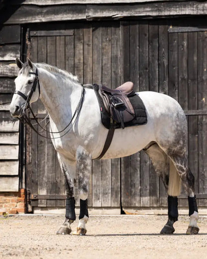 Grey horse wearing LeMieux Dressage Work Pad in black, equestrian equipment for schooling, hacking and warming up at shows