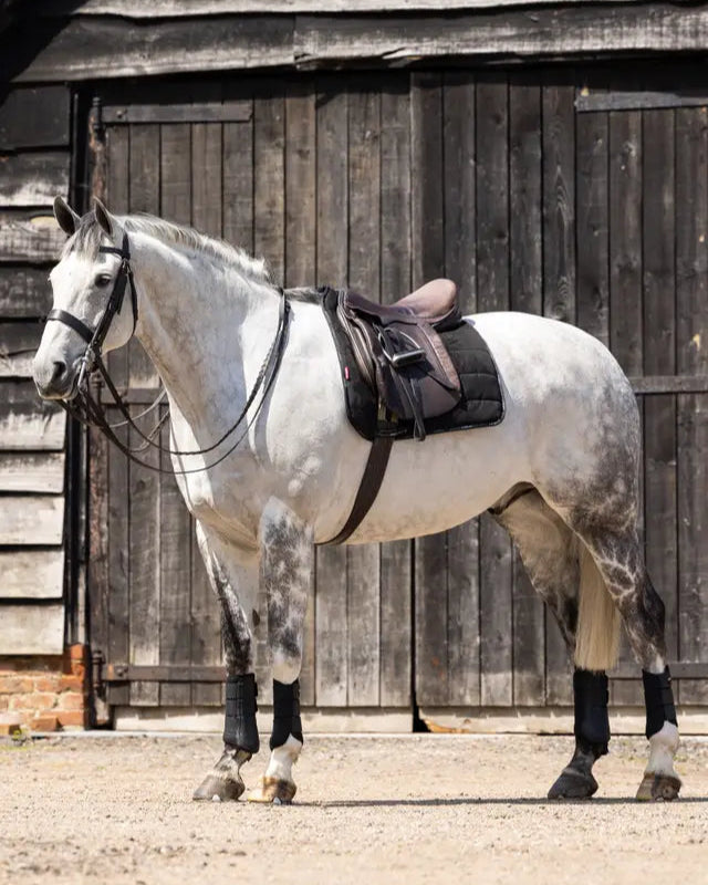 LeMieux Dressage Work Pad Black