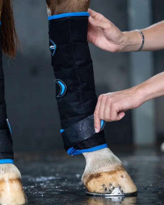 LeMieux Freeze Flow Ice Boot Hind Black
