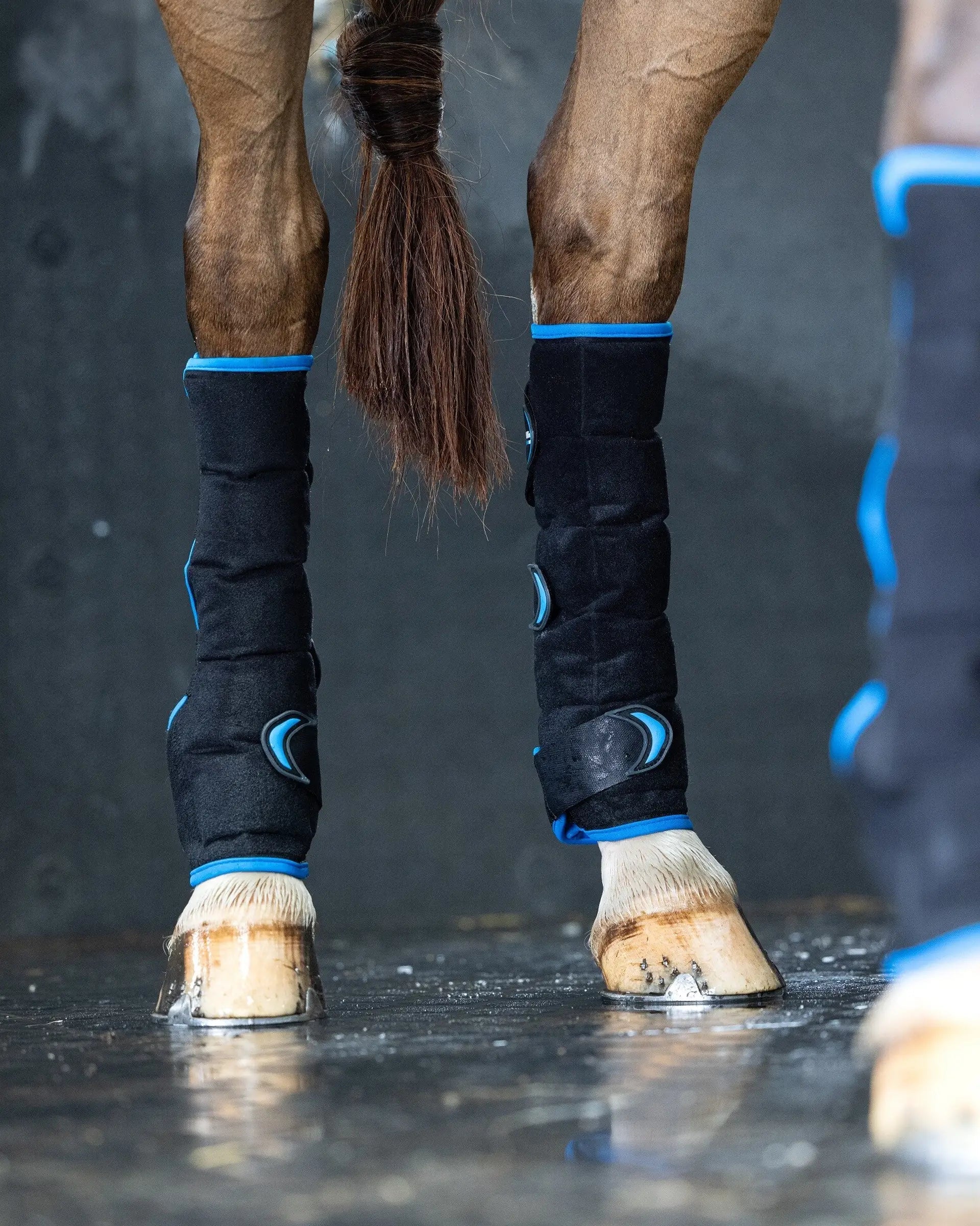 LeMieux Freeze Flow Ice Boot Hind Black