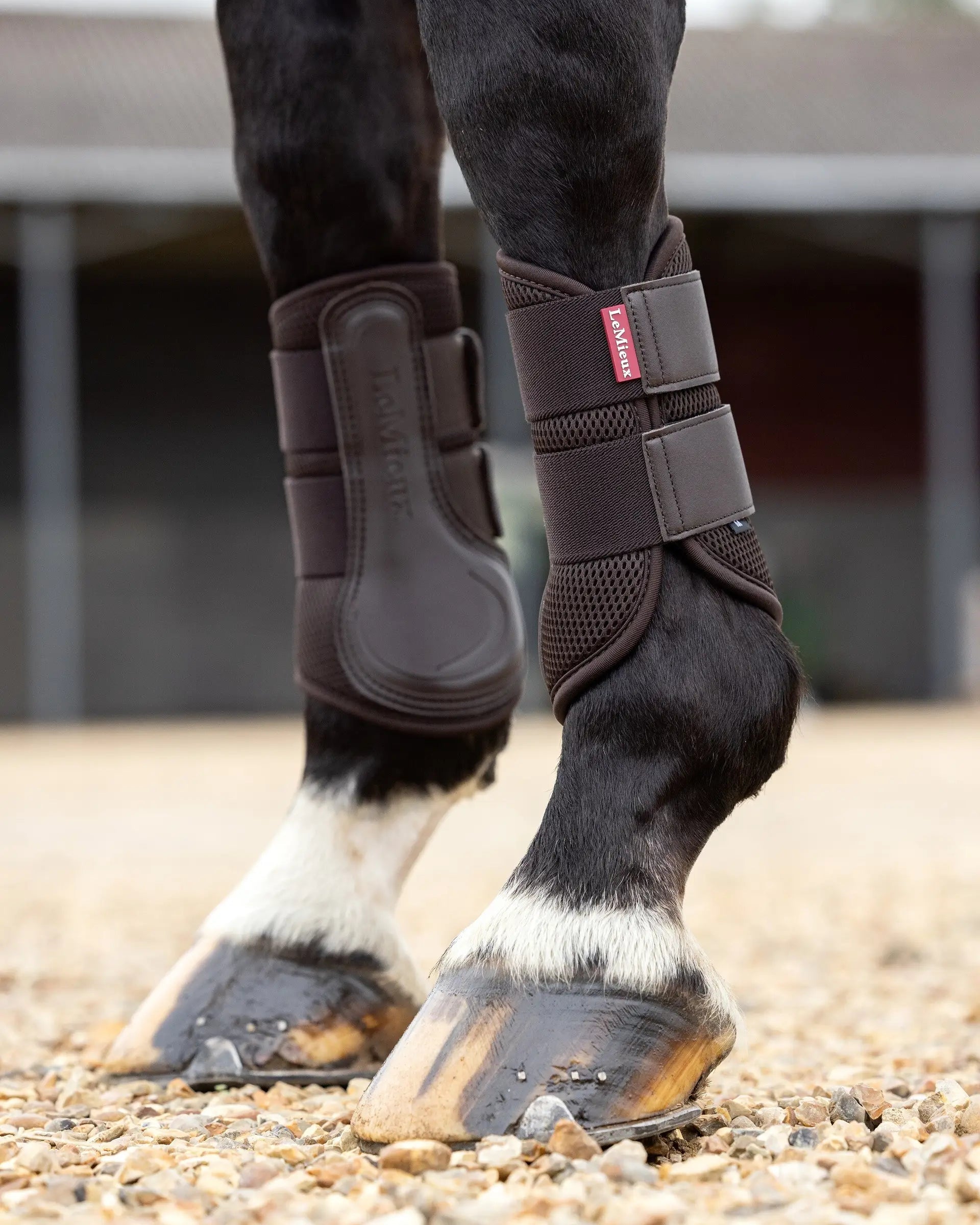 LeMieux Mesh Brushing Boots Brown: Horse Leg Protection, Breathable & Durable. Equiflair Store