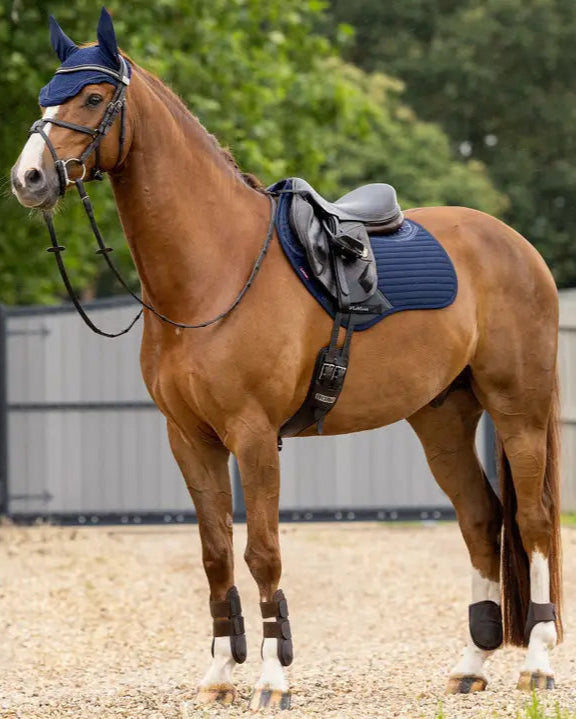 LeMieux Soft Shell Anti-Slip Close Contact Saddle Pad - Navy. Premium horse riding equipment. Equiflair