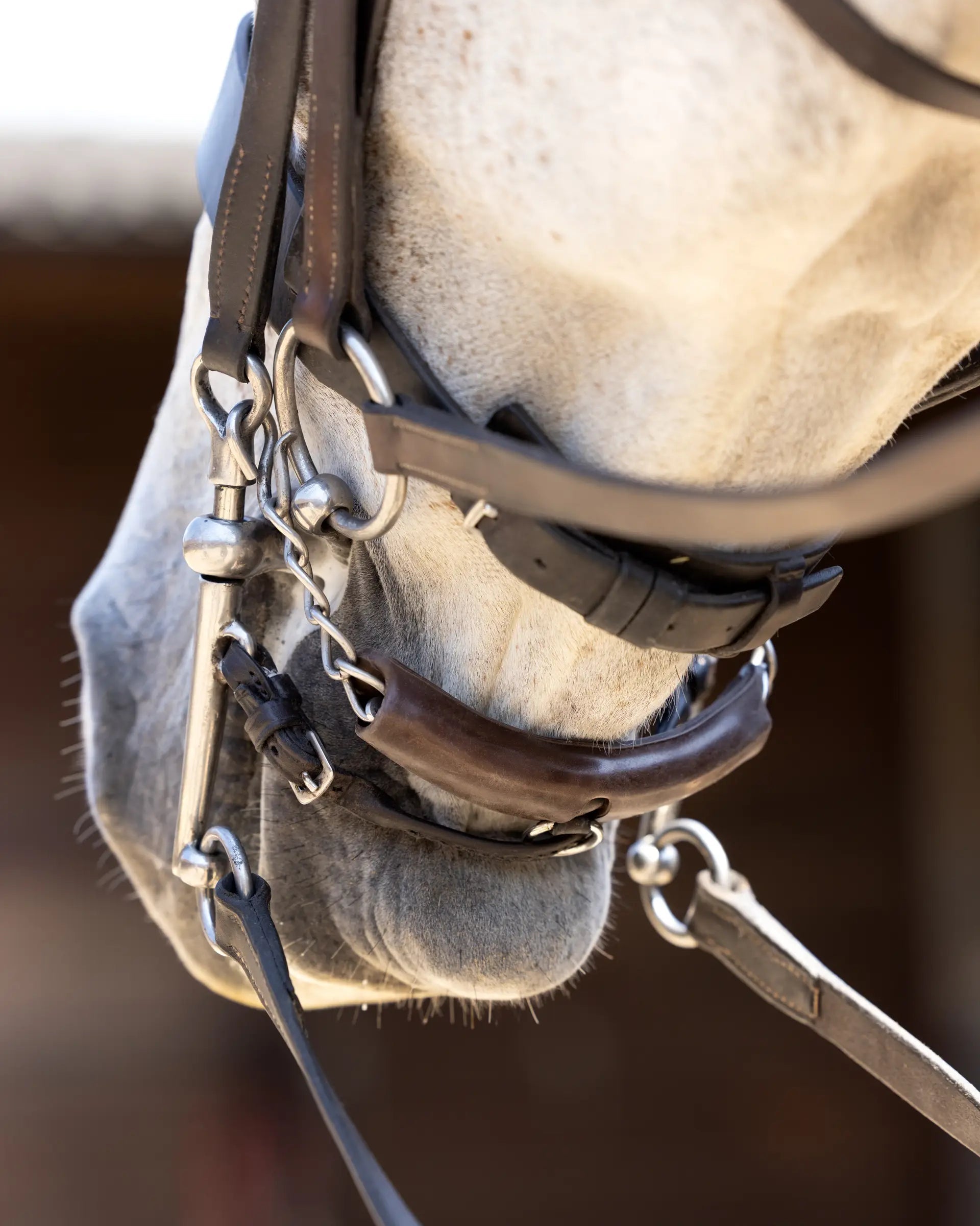 LeMieux Brown Curb Chain Guard for Horse Bridle - Equestrian Equipment