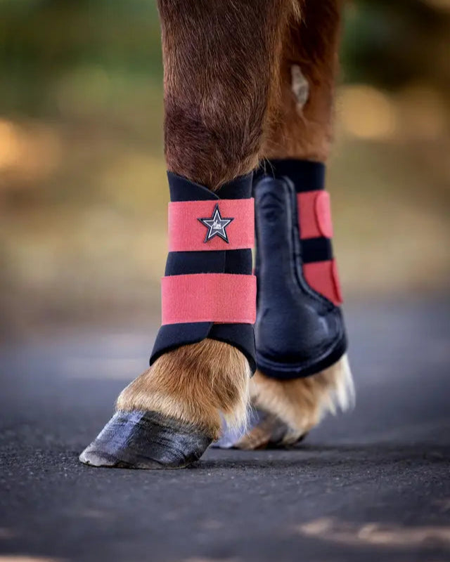 LeMieux Mini Brushing Boots SIENNA for Ponies | Equiflair - Horse Leg Protection, Pony Boots, Equestrian Equipment