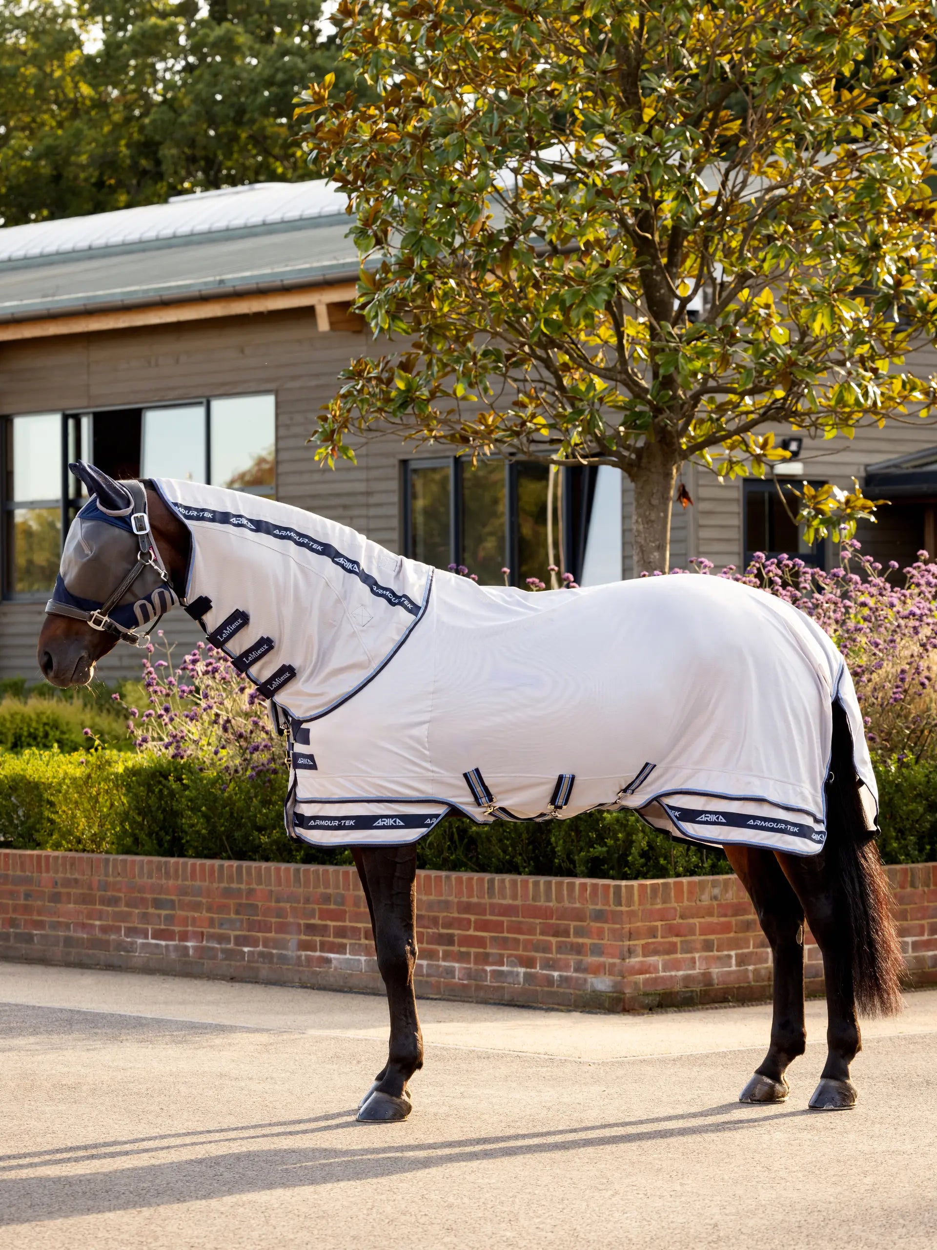 LEMIEUX ARIKA ARMOUR-TEK FLY RUG: Lightweight UV Protection for Horses | Equiflair Saddlery