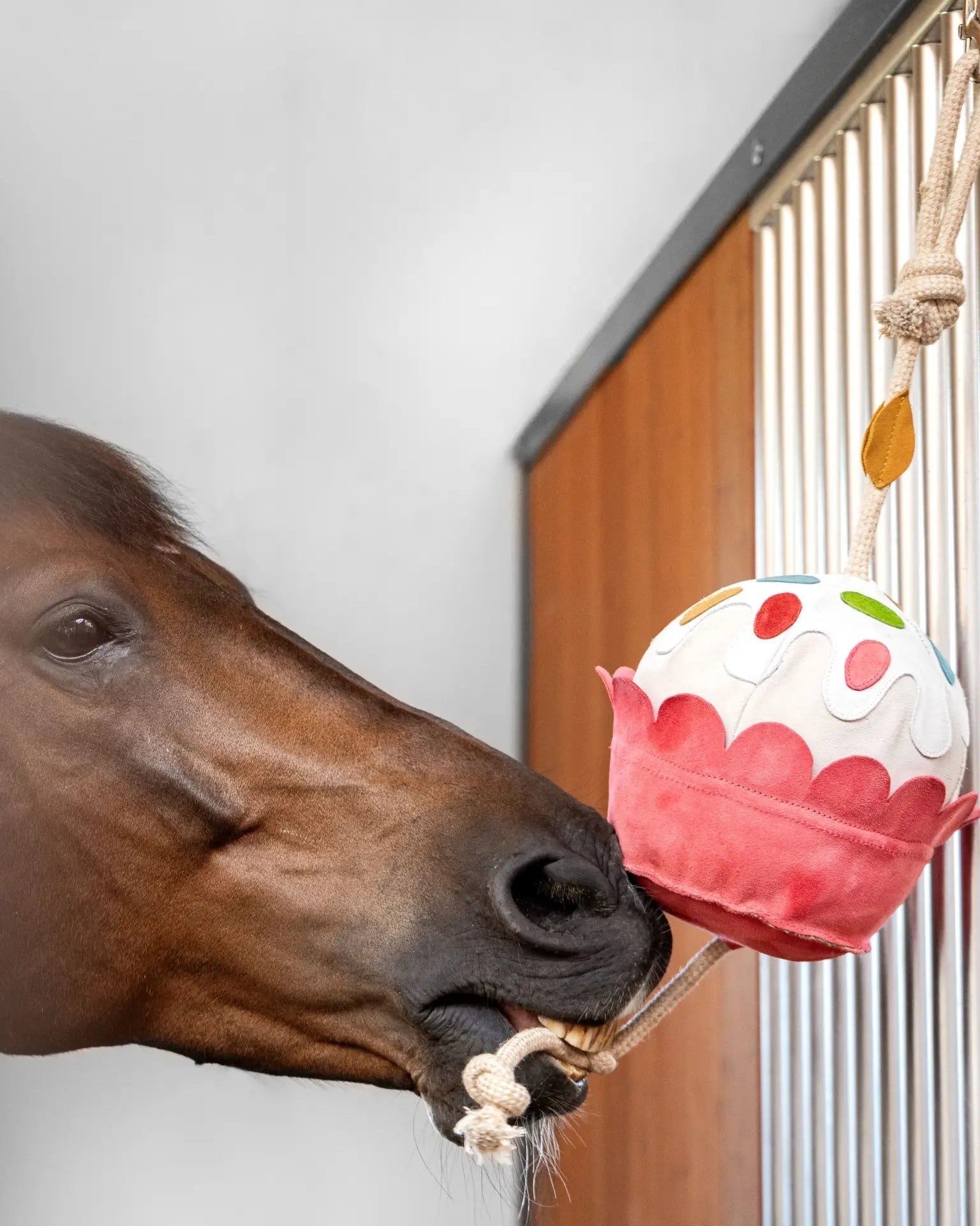 LeMieux Horse Toy Cupcake