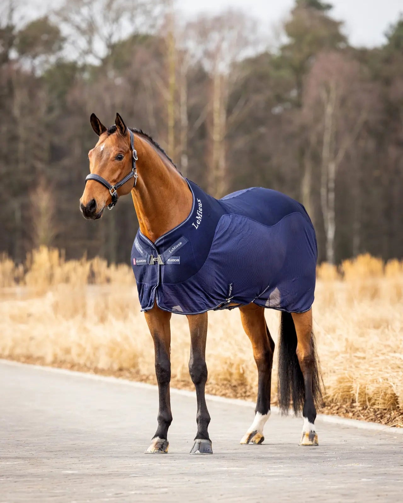 LEMIEUX KUDOS MESH SPORTS COOLER RUG NAVY | Breathable Horse Cooling Blanket