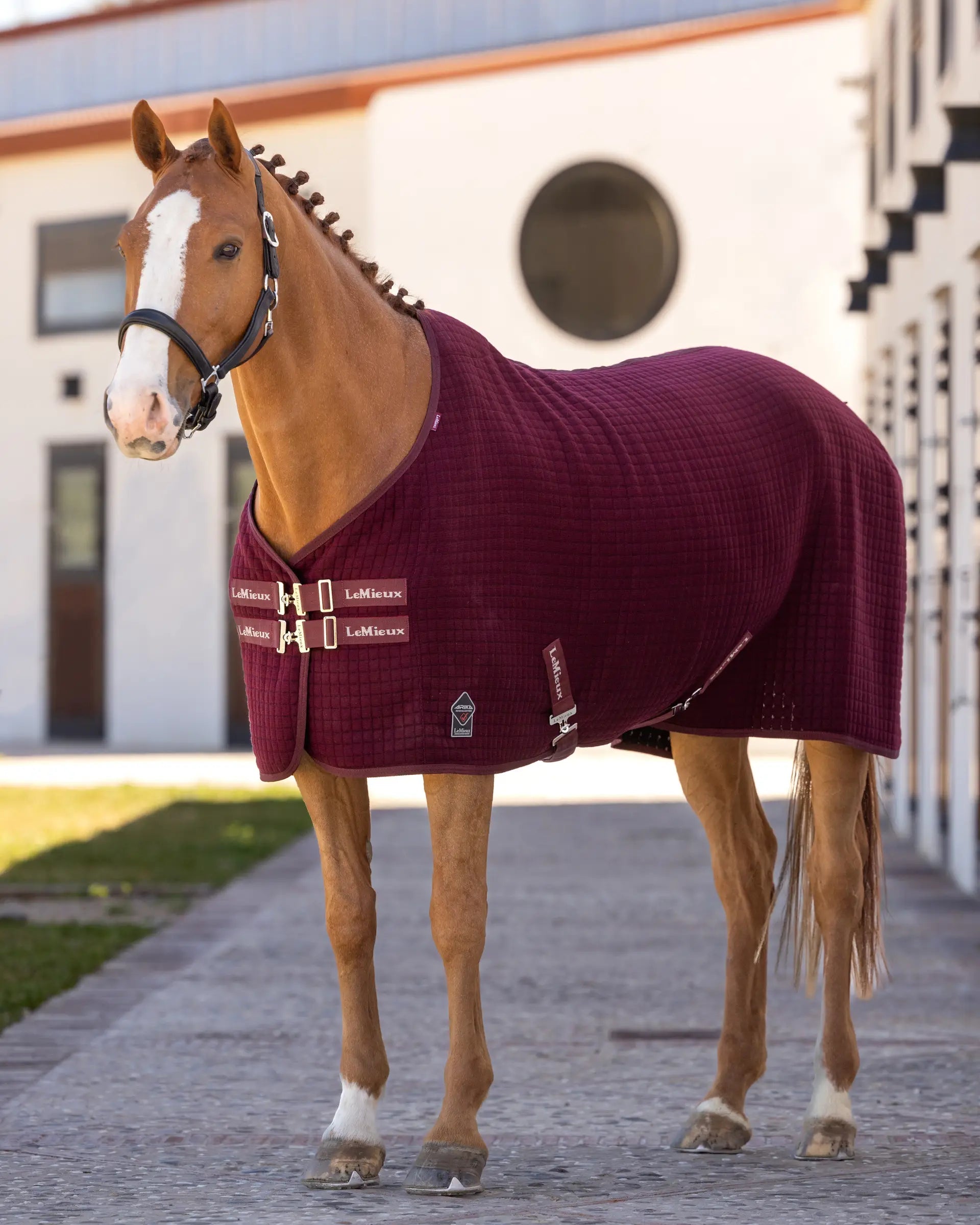 LeMieux Arika Clima-Tek Rug Burgundy