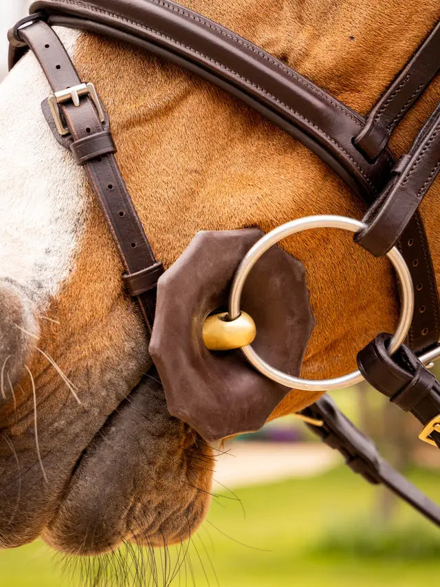 LEMIEUX Contoured Brown Rubber Bit Guards for Horses - Equestrian Bridle Accessory by Equiflair